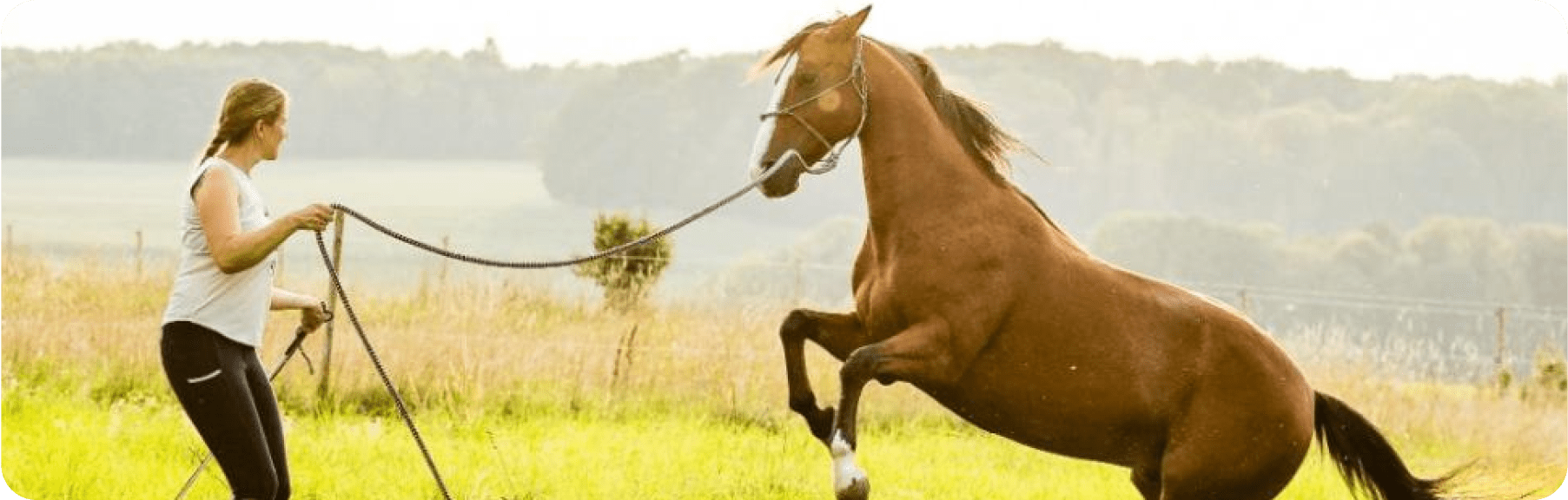 Mask group - 2025-08-13T111135.055-min